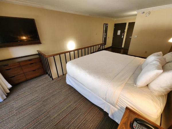 Four Points by Sheraton Little Rock Midtown image 11